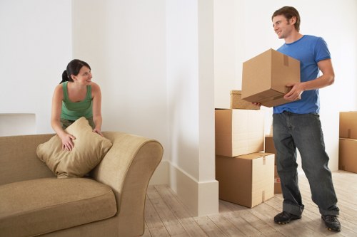 Policy review and safety improvement for removals