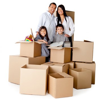 Risk assessment and supplier oversight at Removal Van Merton
