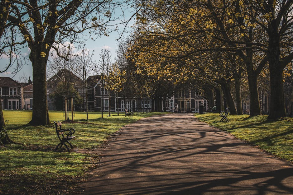 A wide paved walkway in a residential park setting, lined with large deciduous trees casting shadows across the path and surrounding grassy areas. Several black metal benches are positioned along the 
